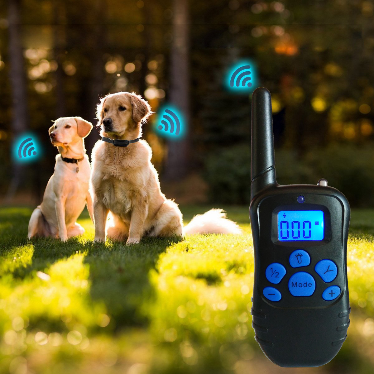 Collier dressage chien télécommande imperméable et rechargeable 300m Anti Aboiement pour 2 chiens